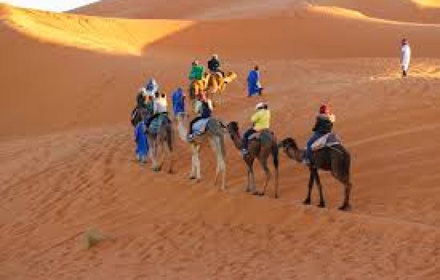 El Gouna: Buggy Safari With Bedouin Village And BBQ Dinner