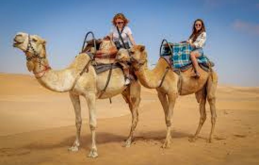 El Gouna: Buggy Safari With Bedouin Village And BBQ Dinner