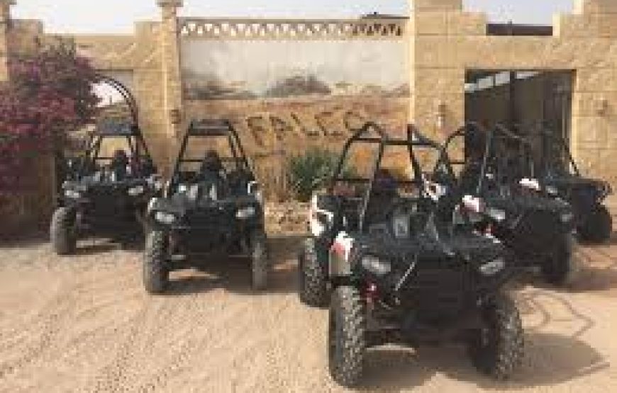 Hurghada: Buggy Safari With Bedouin Village And BBQ Dinner