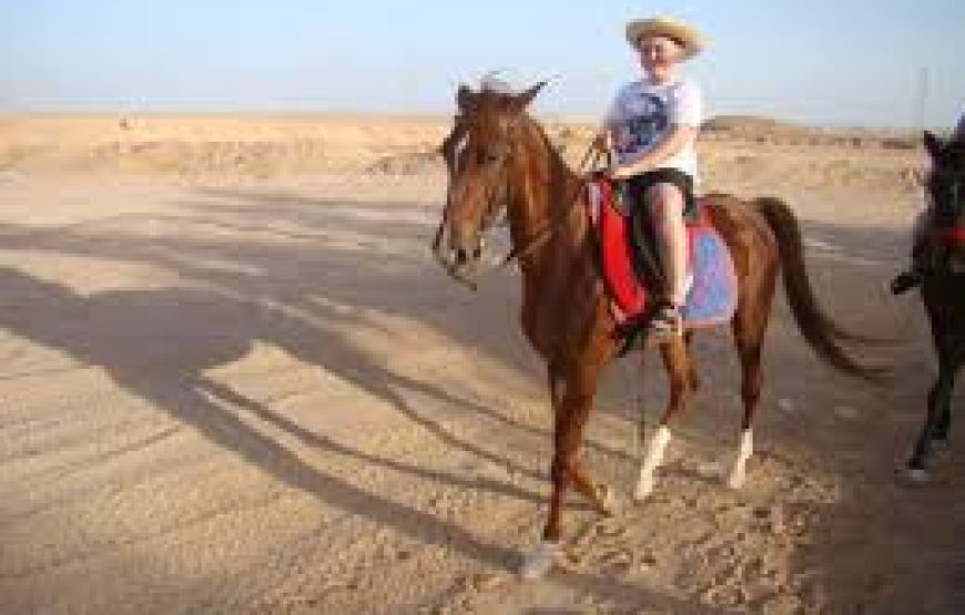 Soma Bay: Horse Riding Private 2 Hours With Guide
