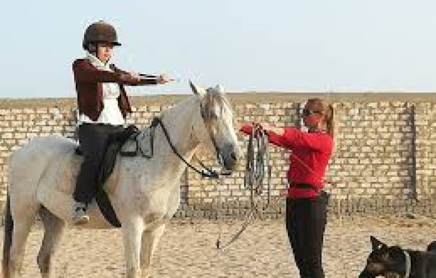 Soma Bay: Horse Riding Private 2 Hours With Guide