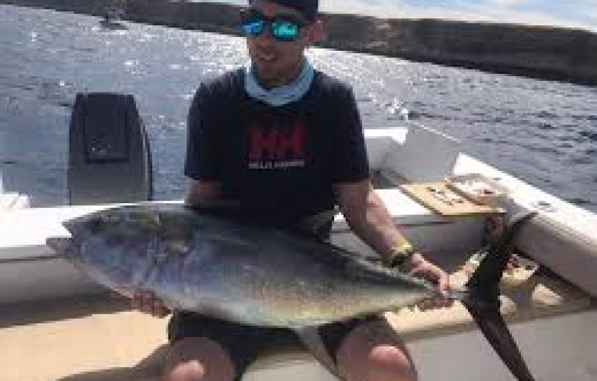 El Gouna: Fishing Boat Trip With Lunch And Snorkeling