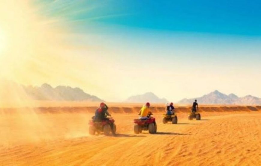 Sharm El Sheikh: Sunrise Quad Biking And Snorkeling Trip