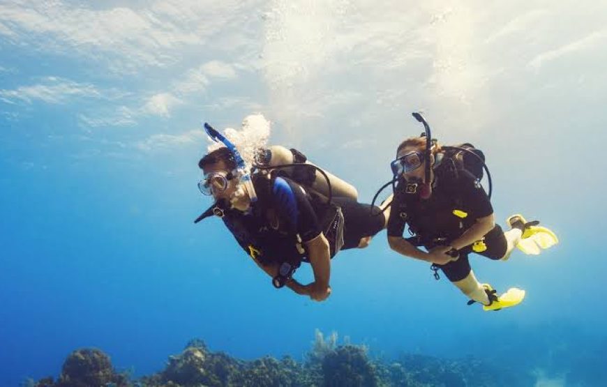 Sharm El Sheikh: Offshore Scuba Diving