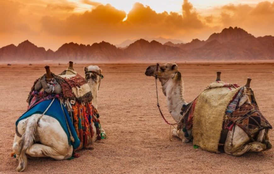 Hurghada: Super Safari Tour Jeep, Quad Bike, Bedouin Village And BBQ Dinner With Show