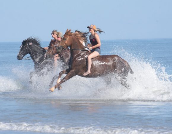 Makadi Bay: Horse Ridding Along The Sea With Swimming