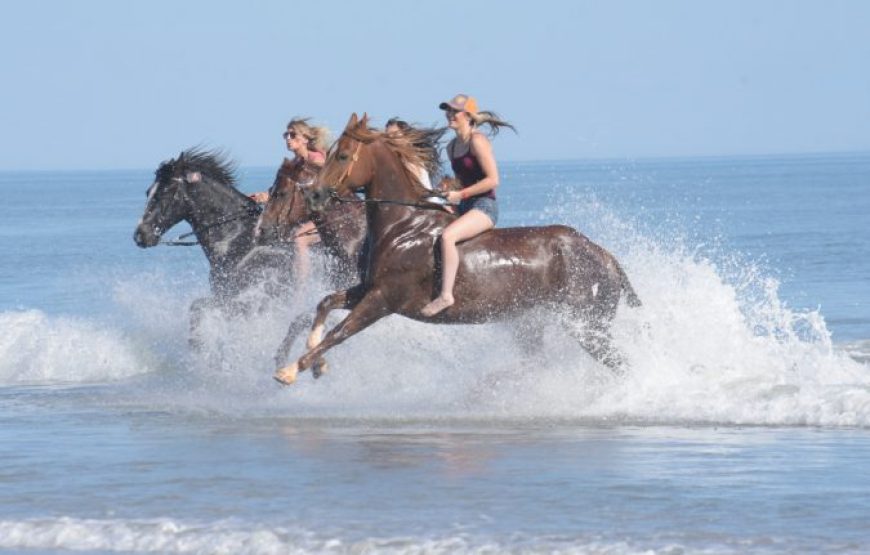 Makadi Bay: Horse Ridding Along The Sea With Swimming