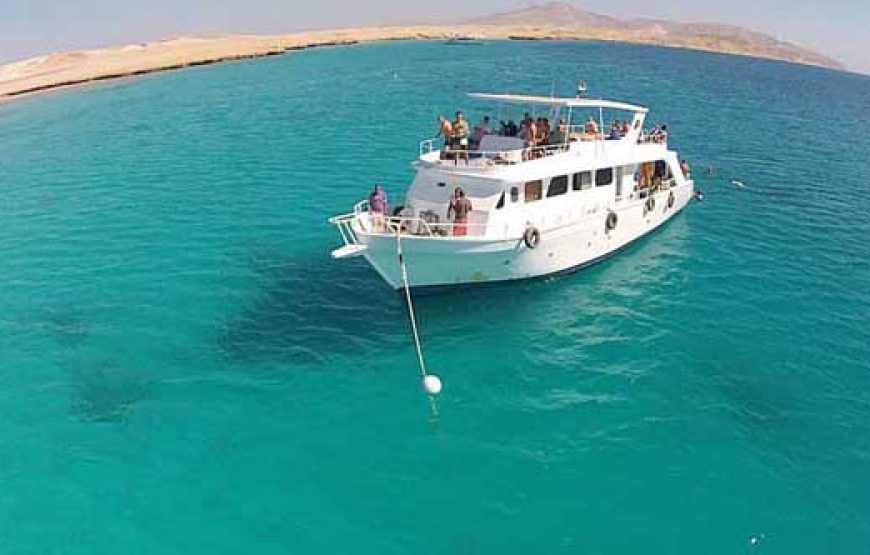 Soma Bay: Utopia Island Snorkeling Trip With Lunch