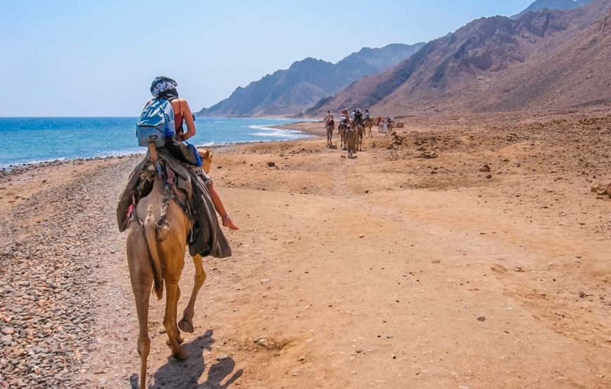 Sharm El Sheikh: Sunrise Quad Biking And Snorkeling Trip