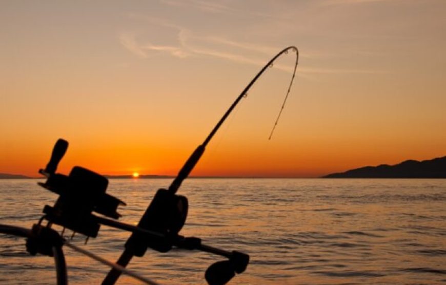 Hurghada: Fishing Trip From Sunset Till Sunrise With Dinner