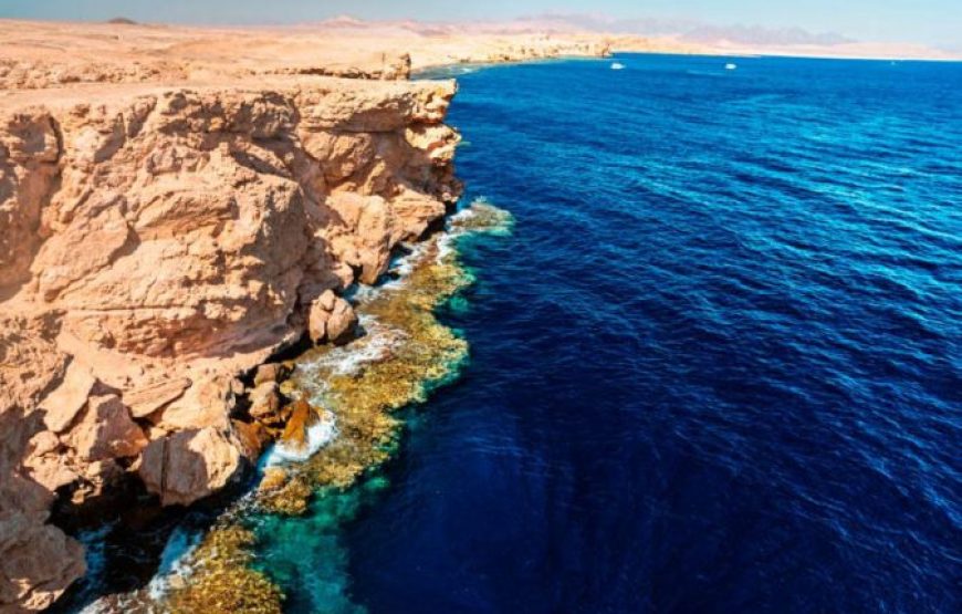 Ras Mohamed By Boat Trip