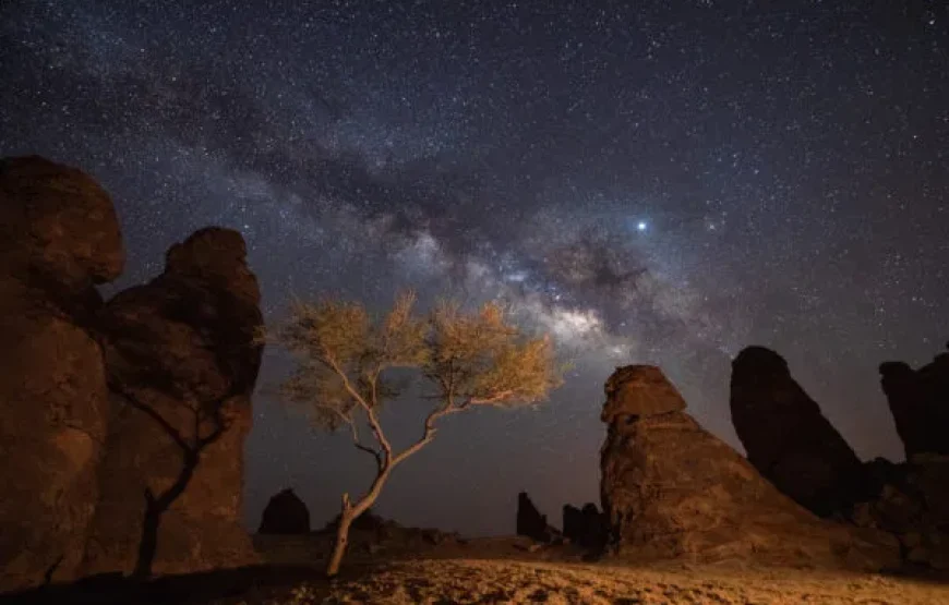 El Gouna: Star Watching Adventure Trip By Jeep With Dinner
