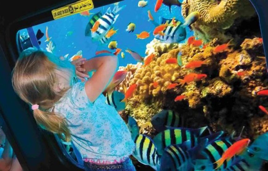 Hurghada: Sea Scope Submarine Trip With Drinks And Snorkeling