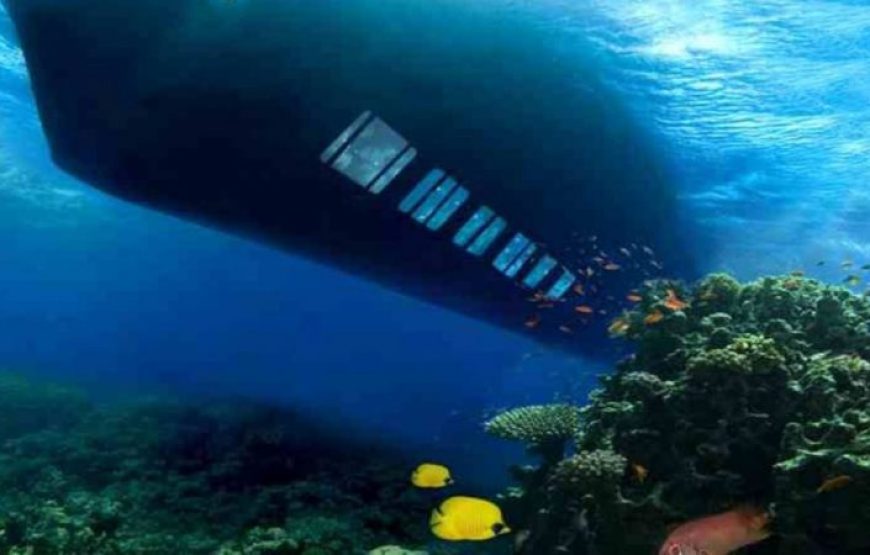 Hurghada: Sea Scope Submarine Trip With Drinks And Snorkeling