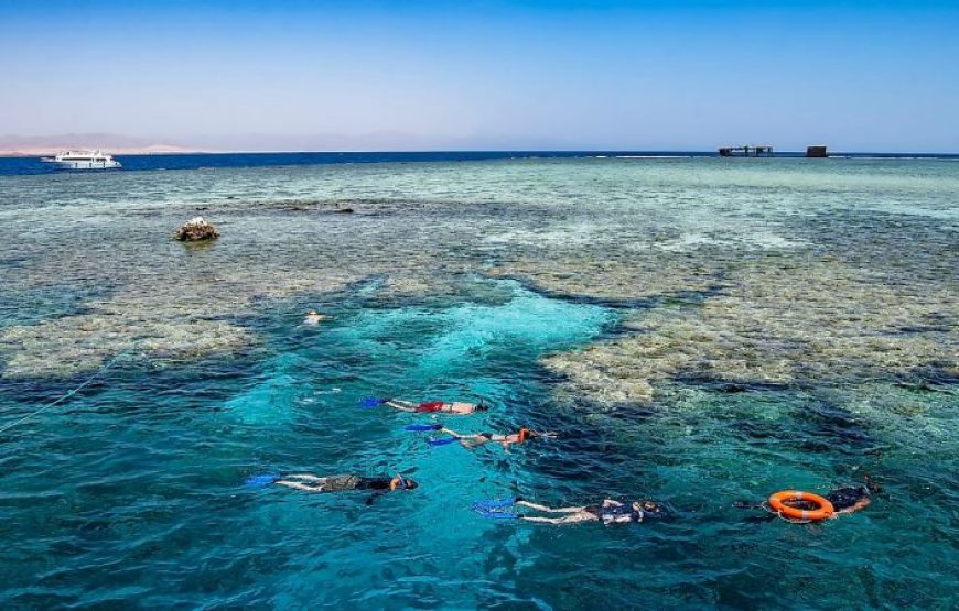 Sharm El Sheikh: Tiran Island – Full Day Boat Tour