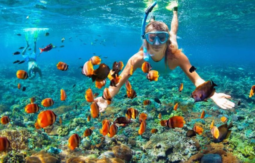 Hurghada: Half-Day Sailing Cruise With Snorkeling & Transfers
