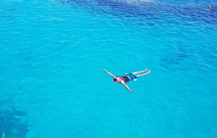 Hurghada: Speedboat Dolphin Watching And Snorkeling Tour