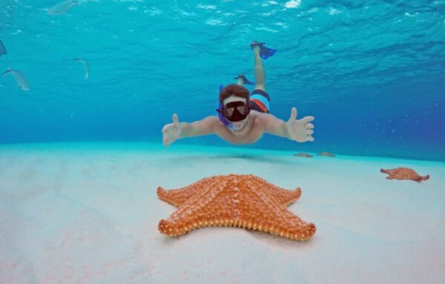 Hurghada: Half-Day Sailing Cruise With Snorkeling & Transfers