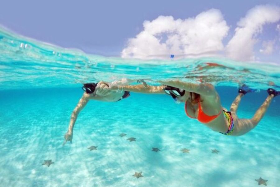 Hurghada: Half-Day Sailing Cruise With Snorkeling & Transfers