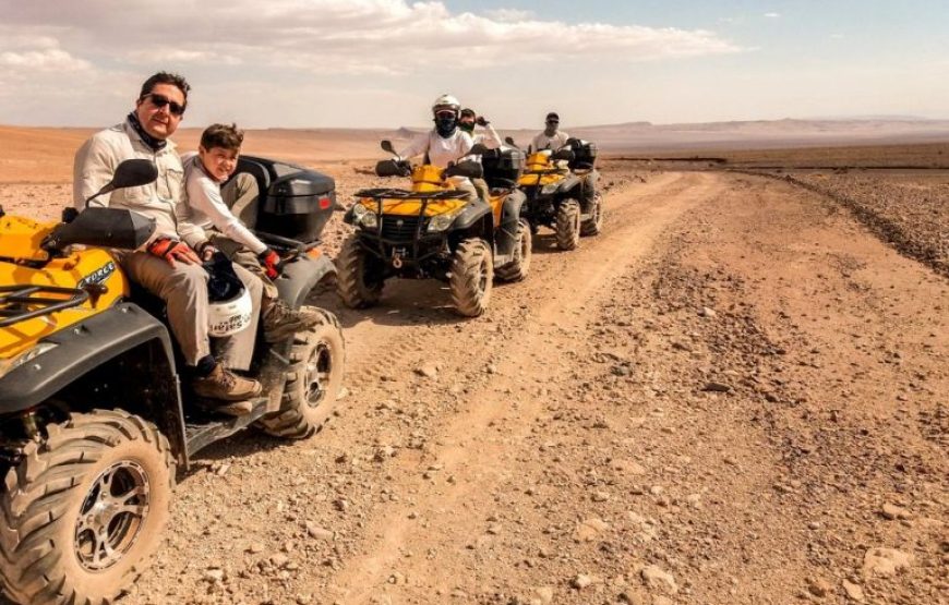 El Gouna: 3-Hour Desert Safari Quad Bike And Camel Ride