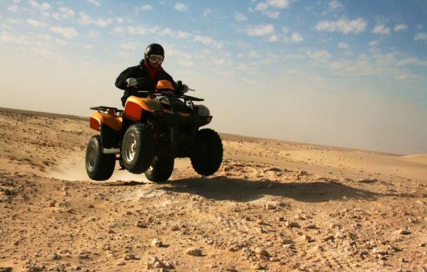 El Gouna: 3-Hour Desert Safari Quad Bike And Camel Ride