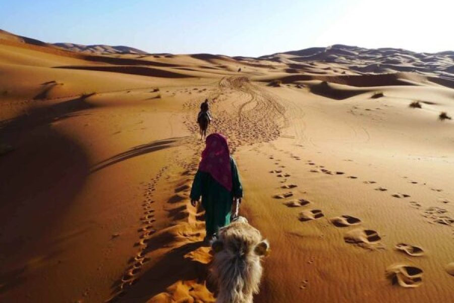 Makadi Bay: 3-Hour Quad Bike, Camel Ride, And Bedouin Village