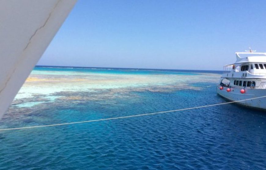 Soma Bay: Fishing Boat Trip With Lunch And Snorkeling