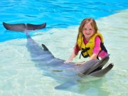 Dolphin World Hurghada 