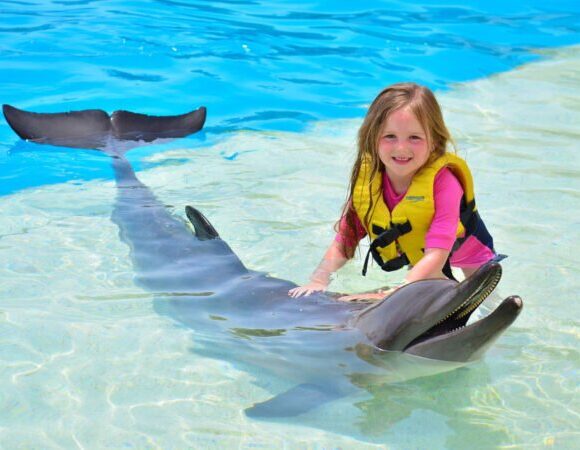 El Gouna: Dolphin World Show