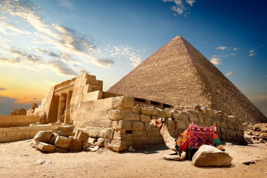 El Gouna: El Gouna: Day Trip to Cairo by Plane