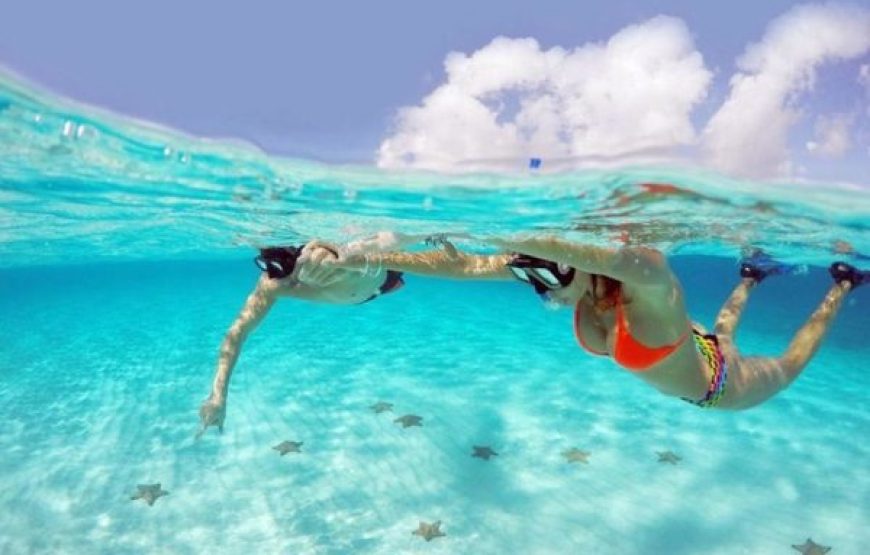Soma Bay: Private Sunset Speedboat & Snorkeling Trip