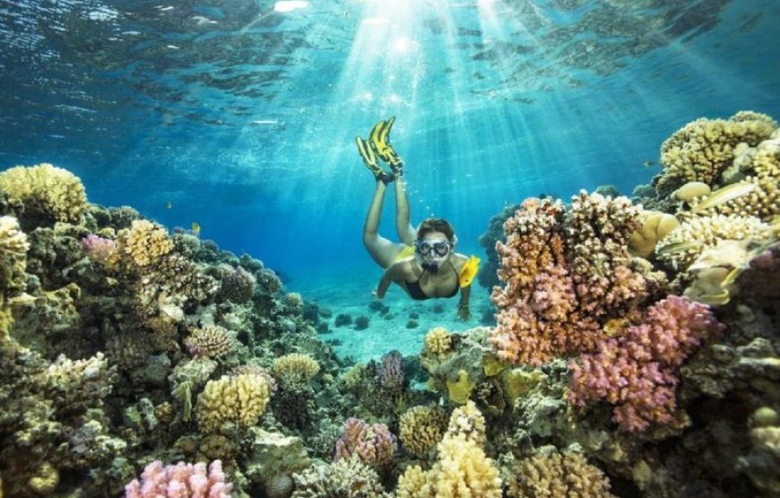 Soma Bay: Private Sunset Speedboat & Snorkeling Trip