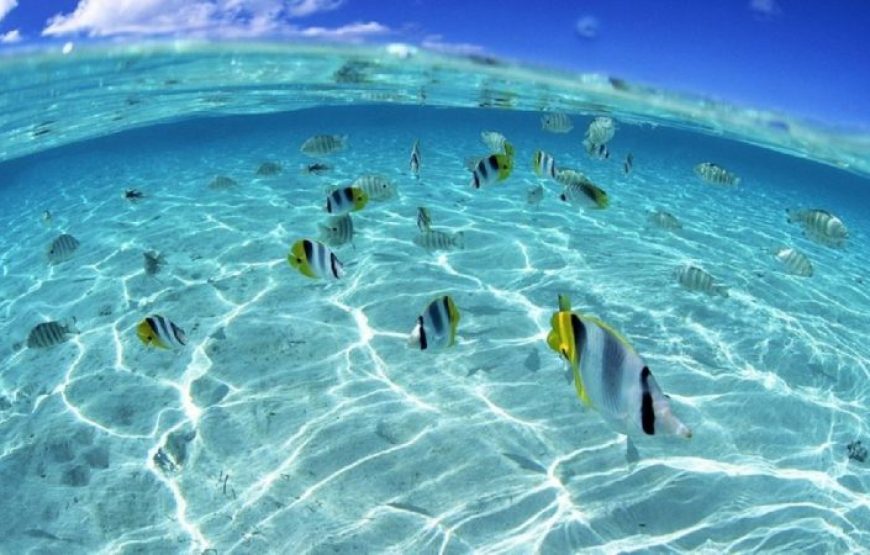 Soma Bay: Private Sunset Speedboat & Snorkeling Trip