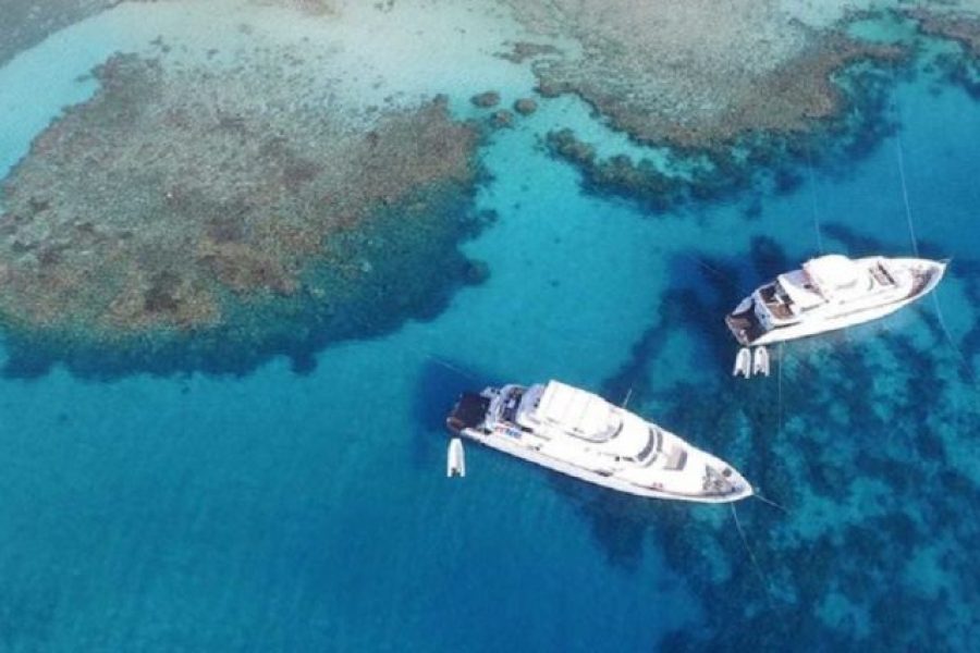 Makadi Bay: Utopia Island Snorkeling Trip With Lunch