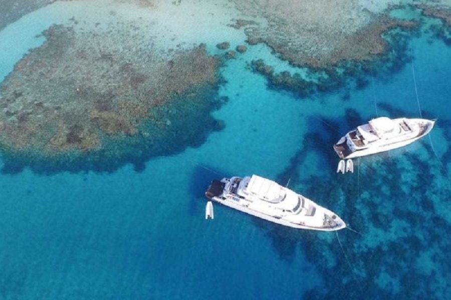 Soma Bay: Fishing Boat Trip With Lunch And Snorkeling