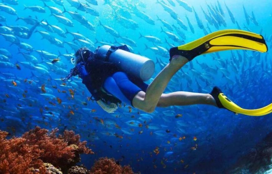 El Gouna: Tour de buceo