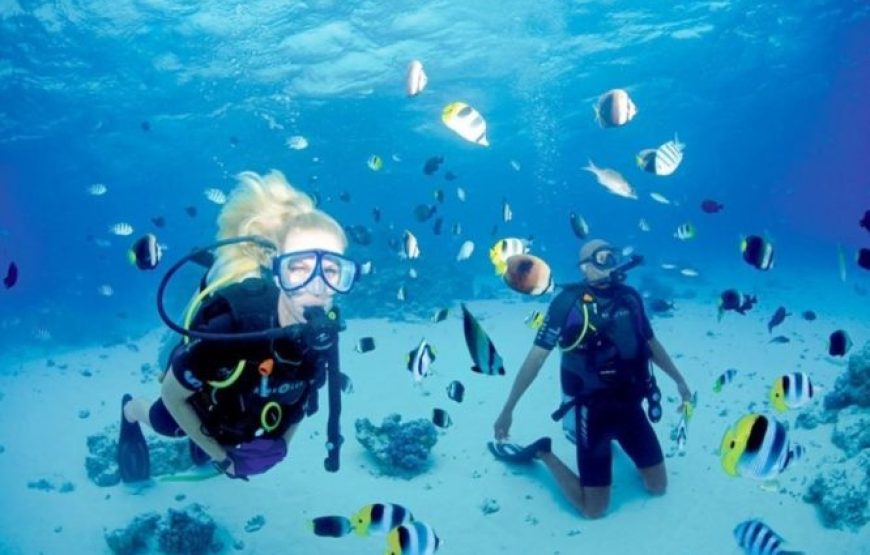 Makady Bay: Diving Course PADI 3 Days With Transfers