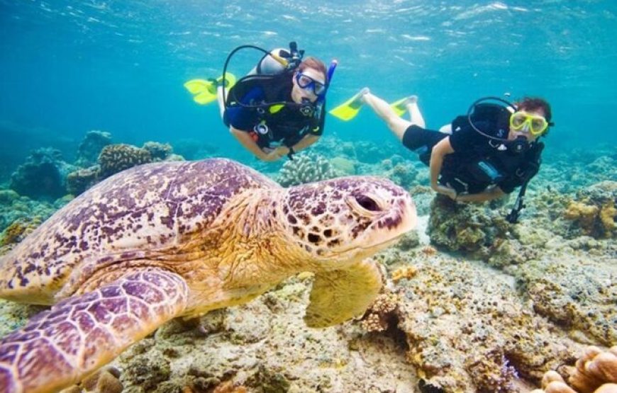 El Gouna: Tour de buceo
