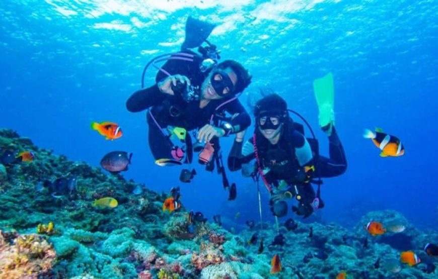 El Gouna: Tour de buceo