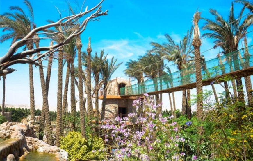 Hurghada: Grand Aquarium Entry Tickets And Transfer
