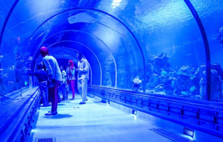 Hurghada: Grand Aquarium Entry Tickets And Transfer