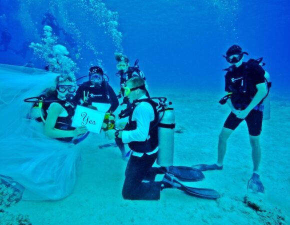 El Gouna: Diving Tour