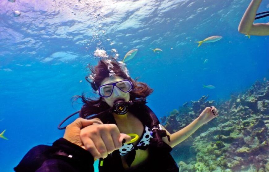 Soma Bay: Diving Tour With Lunch & Two Dive Sites