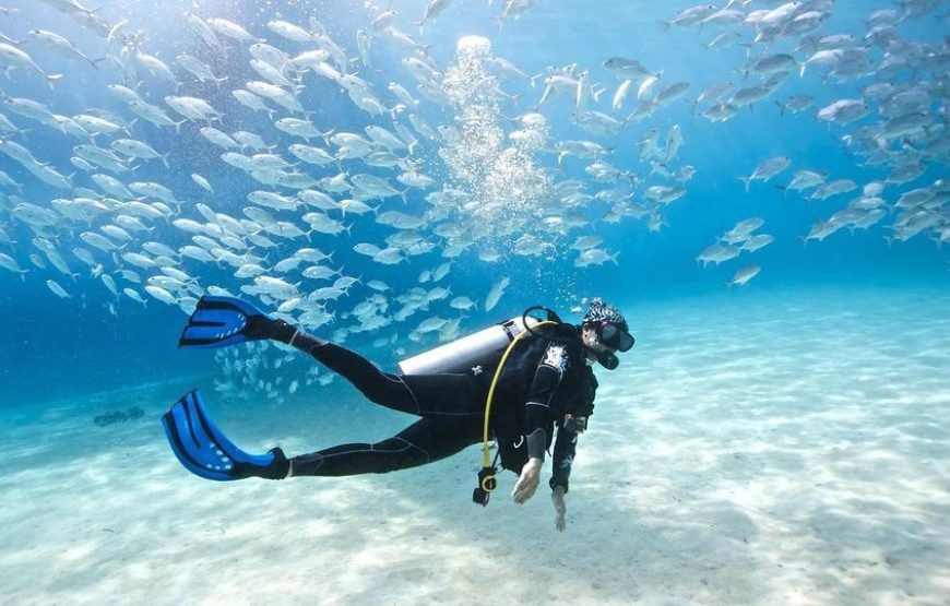 Soma Bay: Diving Tour With Lunch & Two Dive Sites
