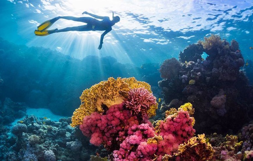 Soma Bay: Orange Bay Island And Snorkeling Tour With Lunch