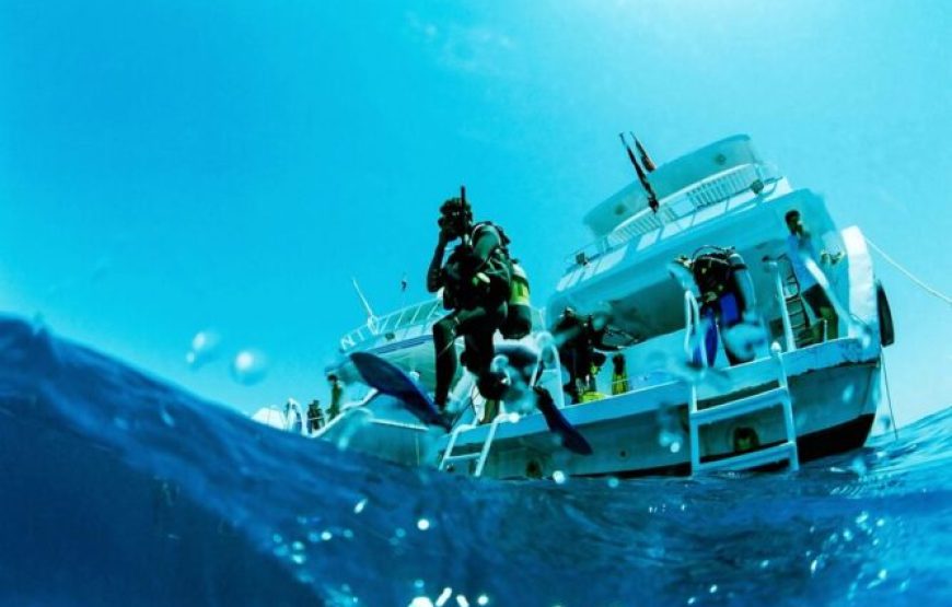 El Gouna: Tour de buceo