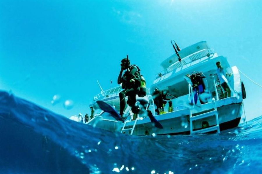 Makady Bay: Diving Course PADI 3 Days With Transfers