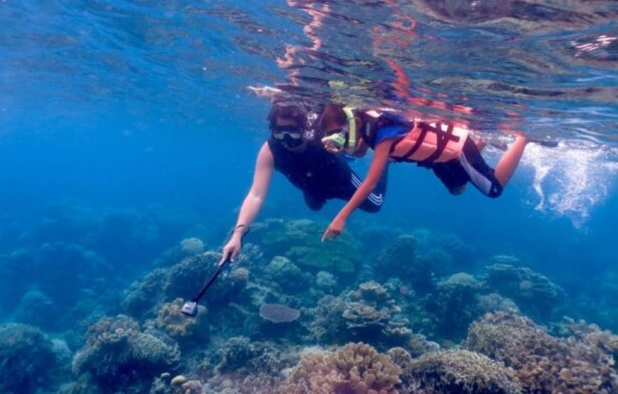 Soma Bay: Private Sunset Speedboat & Snorkeling Trip