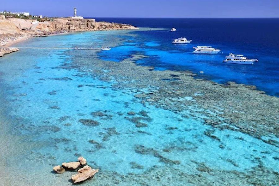 Sharm El Sheikh: Tiran Island – Full Day Boat Tour