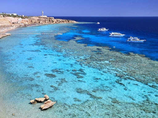 Sharm El Sheikh: Tiran Island – Full Day Boat Tour